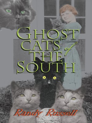 cover image of Ghost Cats of the South